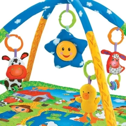 Imagen 3 de 7 de Manta Sensorial Gimnasio Didactico Con Espejo Bebes Priori