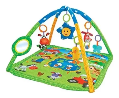 Imagen 1 de 7 de Manta Sensorial Gimnasio Didactico Con Espejo Bebes Priori
