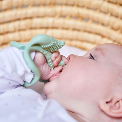 Imagen 8 de 11 de Mordillo Muñequera Bbox Zorro 3+ Meses Silicona Libre BPA