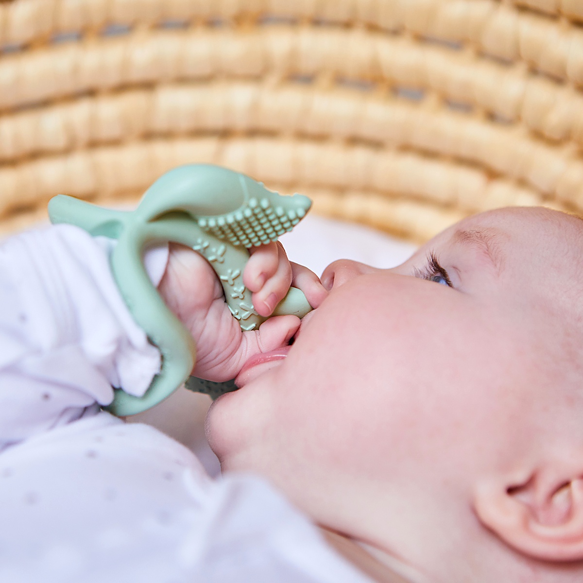 Imagen 8 de 11 de Mordillo Muñequera Bbox Zorro 3+ Meses Silicona Libre BPA