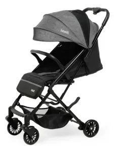 Miniatura 1 de 12 de Cochecito Bebesit Luggy 1301-C gris